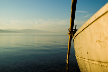 Similar image 7979986