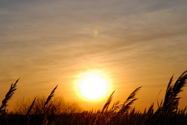 Similar image 7979989