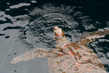 Similar image 7979992