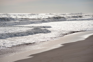 Similar image 7979995