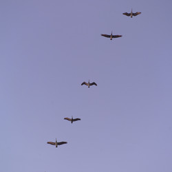 Similar image 7980003