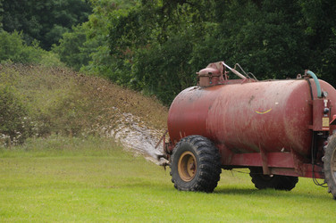 Similar image 7980004