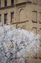 Similar image 7980006