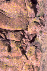 Similar image 7980007