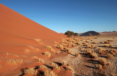 Similar image 7980014