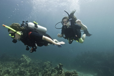 Similar image 7980015