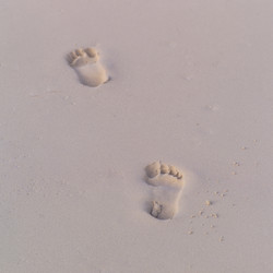 Similar image 7980016