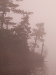 Similar image 7980018