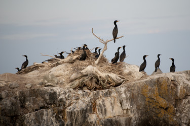 Similar image 7980019