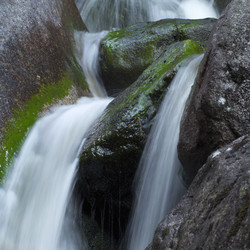 Similar image 7980032