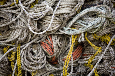 Similar image 7980036