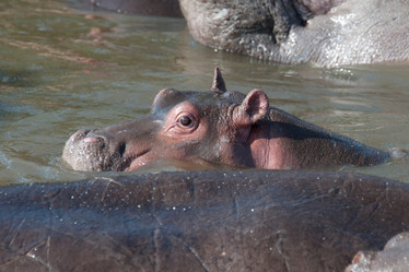 Similar image 7980042