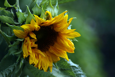 Similar image 7980043