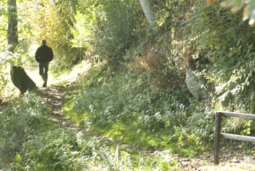 Similar image 7980053