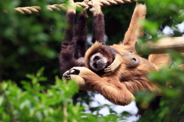 Similar image 7980058