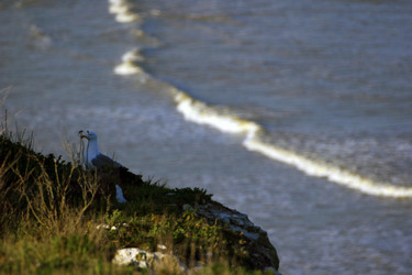 Similar image 7980059