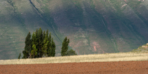 Similar image 7980085