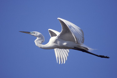 Similar image 7980094