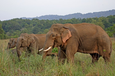 Similar image 7980097