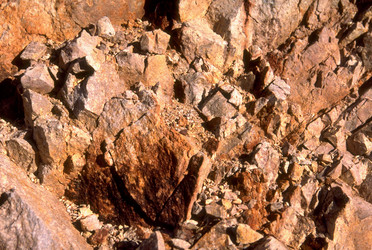 Similar image 7980123