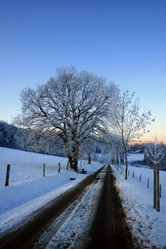 Similar image 7980127