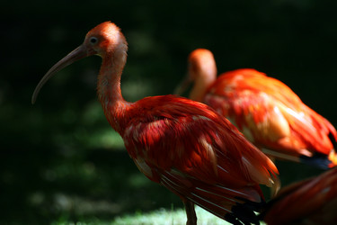 Similar image 7980128