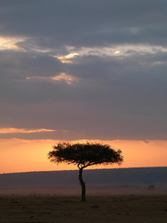 Similar image 7980140