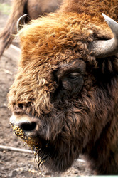 Similar image 7980149