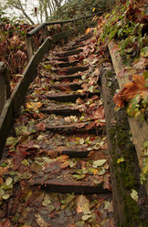 Similar image 7980156