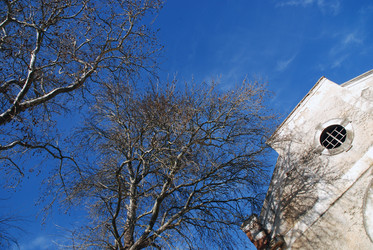 Similar image 7980158