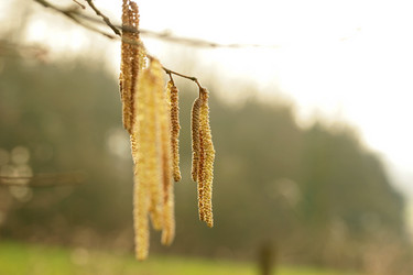 Similar image 7980162