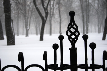 Similar image 7980163