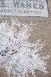 Similar image 7980169