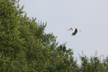 Similar image 7980174