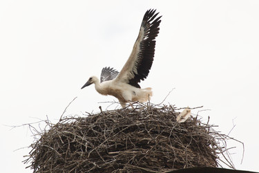 Similar image 7980183