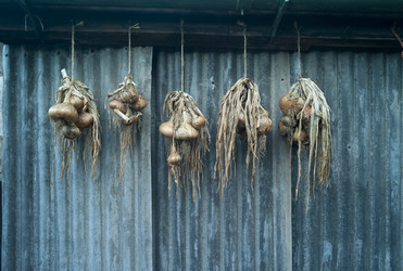 Similar image 7980192