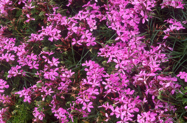 Similar image 7980208