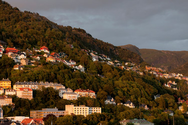 Similar image 7980212