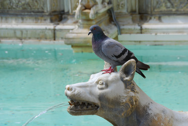 Similar image 7980219