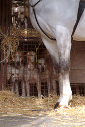 Similar image 7980220