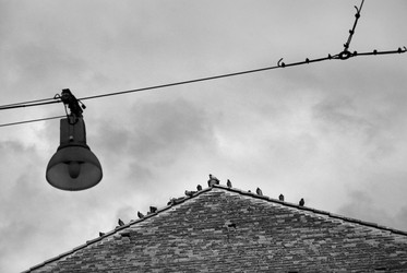 Similar image 7980231