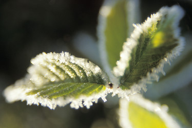 Similar image 7980233