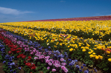 Similar image 7980246