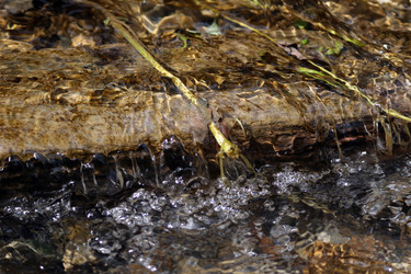 Similar image 7980249