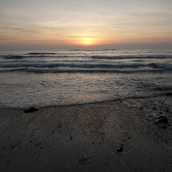 Similar image 7980251