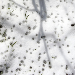 Similar image 7980252