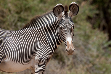 Similar image 7980253