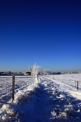 Similar image 7980257