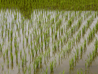 Similar image 7980266