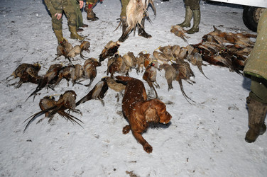 Similar image 7980270